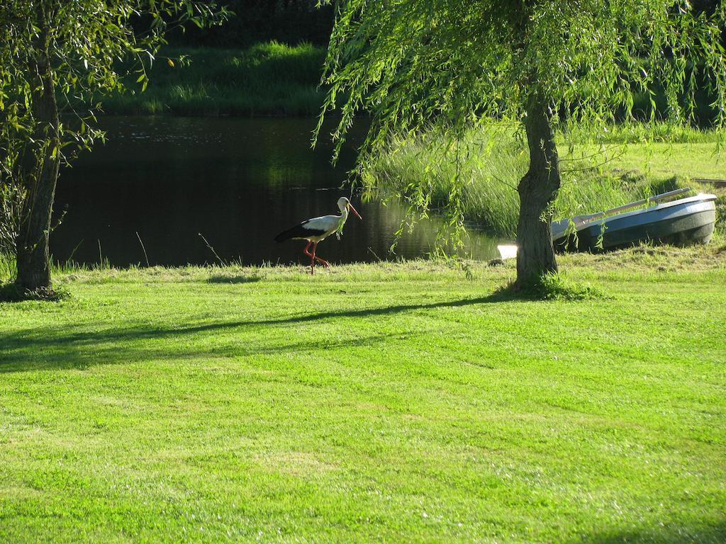 Villa Orlik Mazury à Stare Jabłonki Extérieur photo